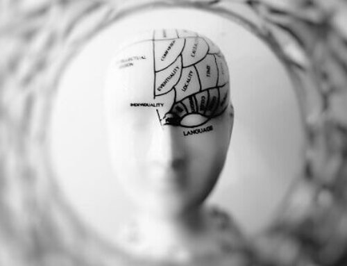 Emociones y cerebro, todo se entrena